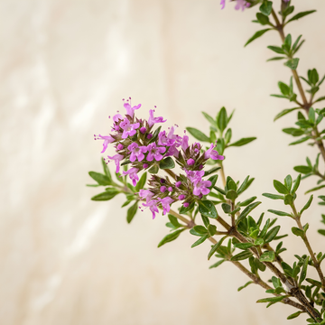 Thyme Water